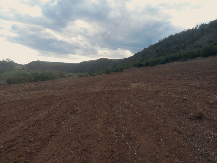 Commercial Property for Sale in George Rural Western Cape